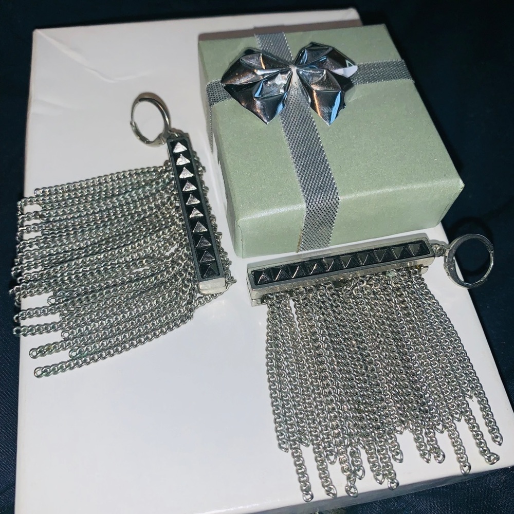 Silver metal tassel earrings.